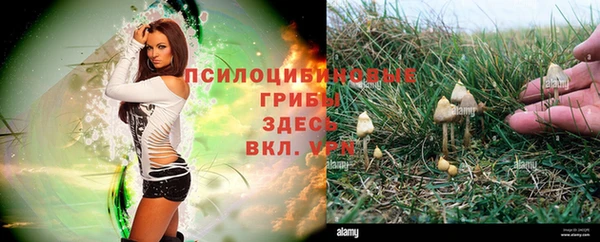мяу мяу кристалл Балахна