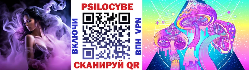 mega ONION  Заинск  Псилоцибиновые грибы Cubensis 